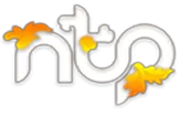 logo2.png